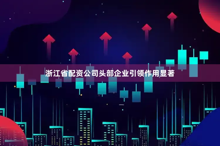 浙江省配资公司头部企业引领作用显著