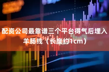配资公司最靠谱三个平台得气后埋入羊肠线（长度约1cm）