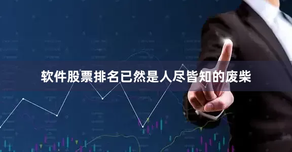 软件股票排名已然是人尽皆知的废柴