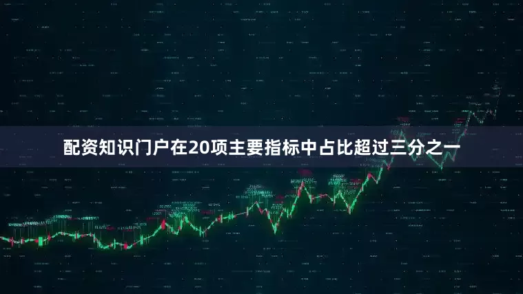 配资知识门户在20项主要指标中占比超过三分之一