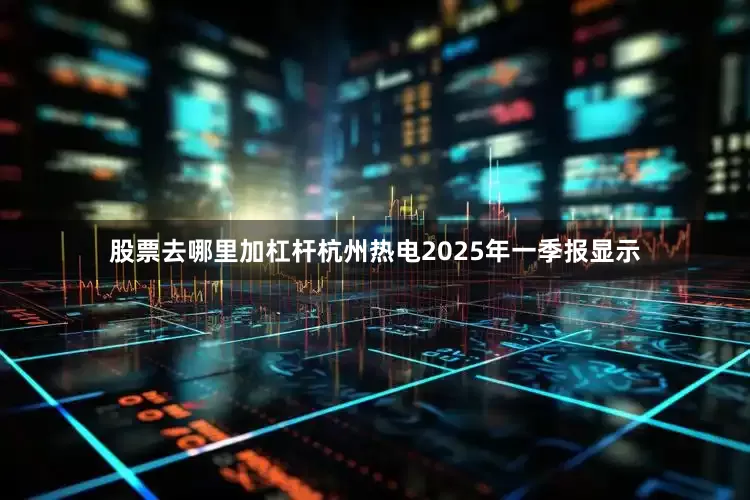 股票去哪里加杠杆杭州热电2025年一季报显示