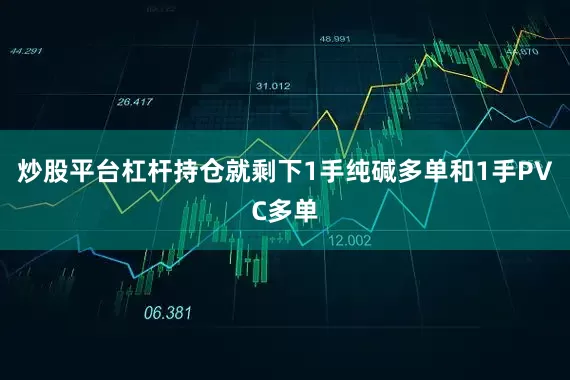 炒股平台杠杆持仓就剩下1手纯碱多单和1手PVC多单