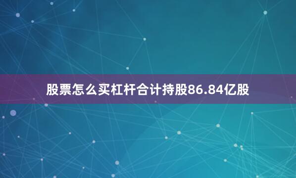 股票怎么买杠杆合计持股86.84亿股