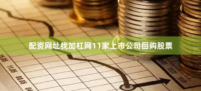 配资网址找加杠网11家上市公司回购股票